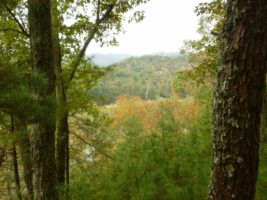 Paint Rock area