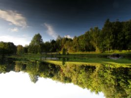 Max Patch pond