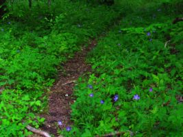 Hiking is endless at Dancing Sun Cabins