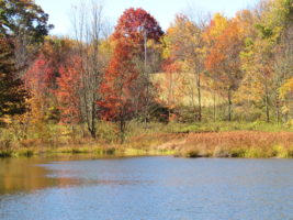 Pond at Max Patch