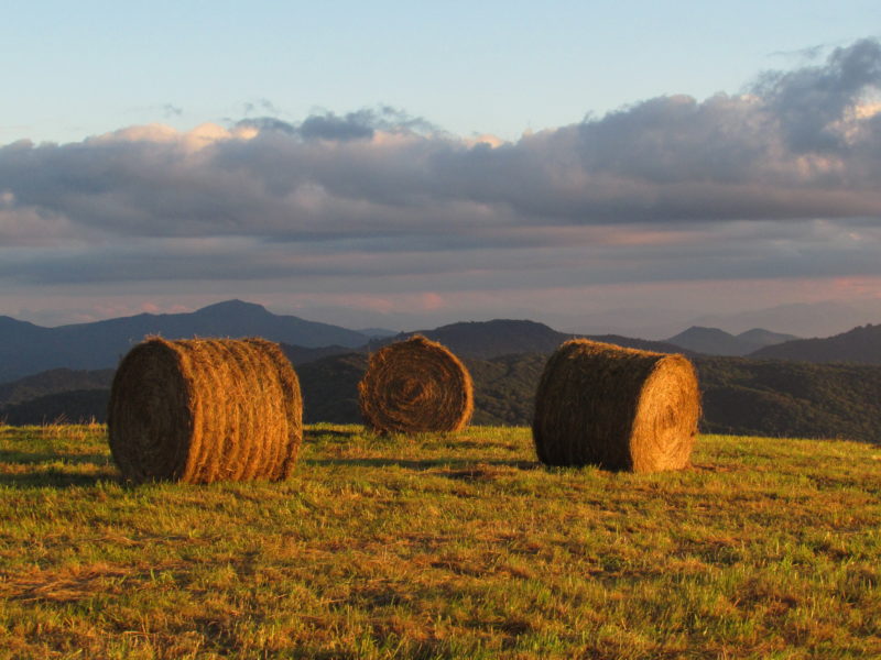 Max Patch is spectacular any time of year.