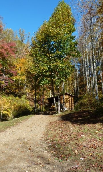 This is a leaf lookers paradise in the NC mountains near Max Patch at Dancing Sun Cabins