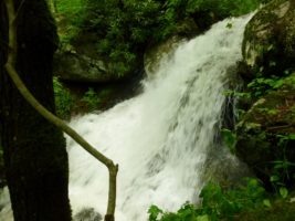 Waterfall at Dancing Sun Cabins