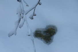 Heart in Snow