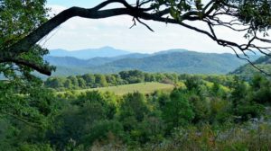 Max Patch is one of our favorite places to hike