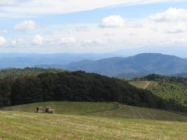 Hike to Lemon Gap from Max Patch