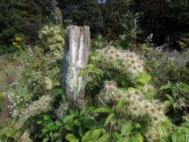 Appalachian Trail blazes are white