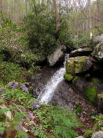 Our waterfall is just a short walk from your cabin door