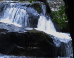 Swimming Big Creek in the Great Smoky Mountain National Park