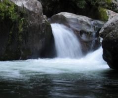 Swimming Midnight Hole at Big Creek in the Great Smoky Mountain National Park