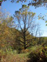 Hiking from your cabin door