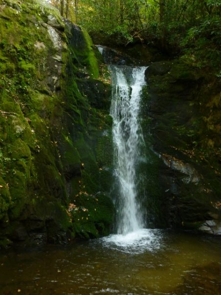 Wolf Creek Falls excellent swim