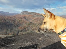 Looking glass rock