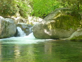 Midnight Hole